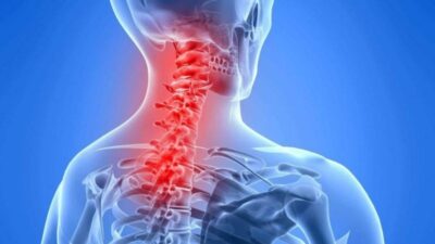 dau-moi-co-vai-gay-4