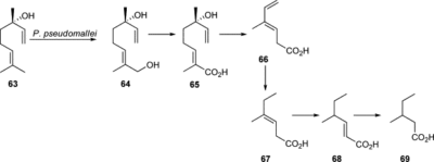 Linalool