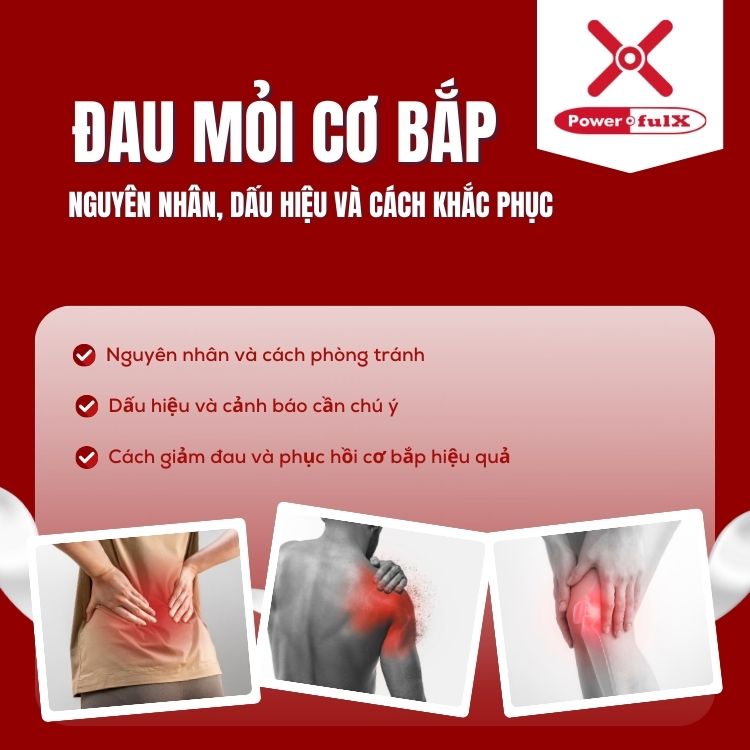 dau-moi-co-bap-0