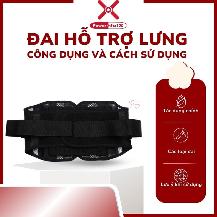 dai-ho-tro-lung-0