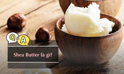 Shea Butter-3