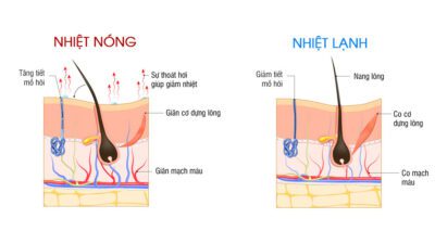 lieu-phap-nhiet-giam-dau-1