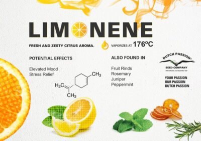 limonene-3