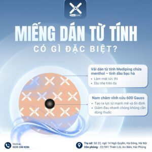 mieng-dan-tu-tinh-giam-dau-co
