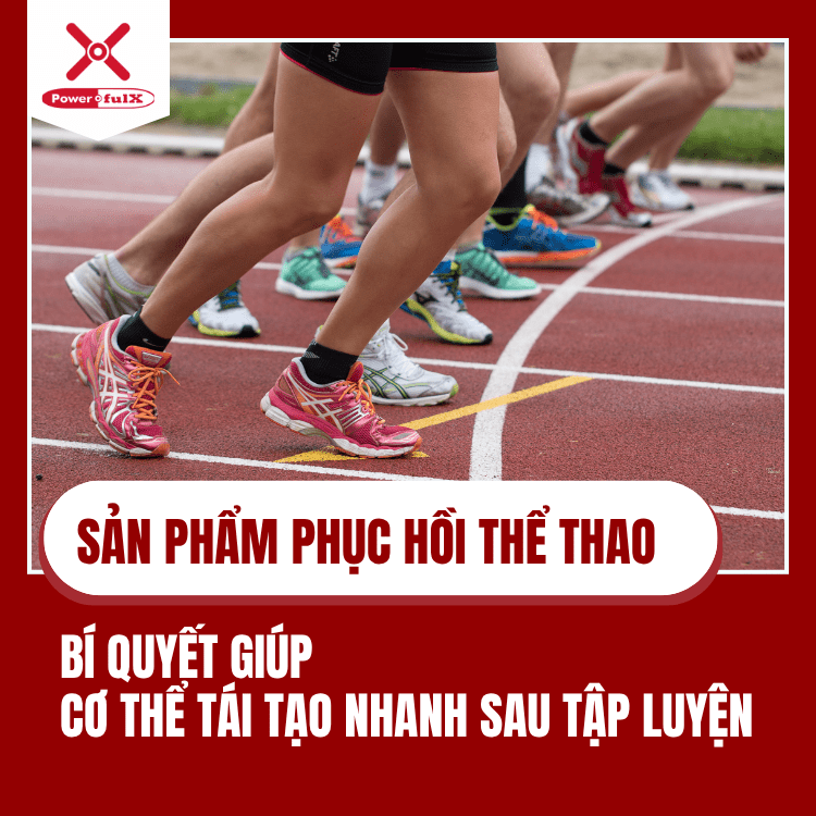 san-pham-phuc-hoi-the-thao-0