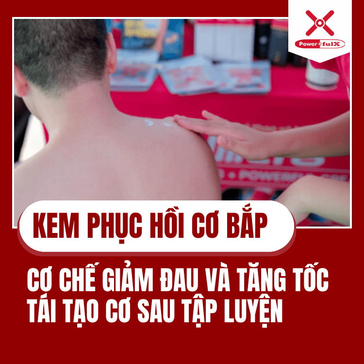kem-phuc-hoi-co-bap-0