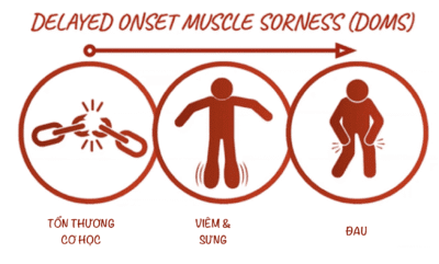 kem-lanh-phuc-hoi-co-1