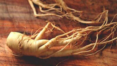 kem-phuc-hoi-nhan-sam-the-thao-2