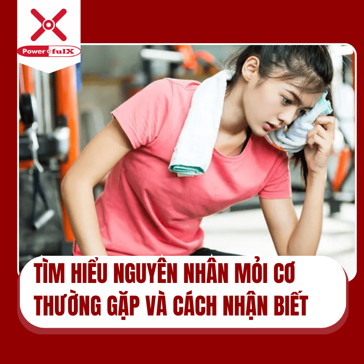 -nguyen-nhan-moi-co-0